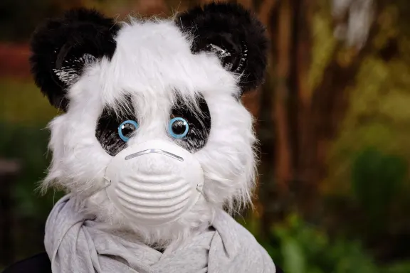 カジノ オブ ドリームス サポート